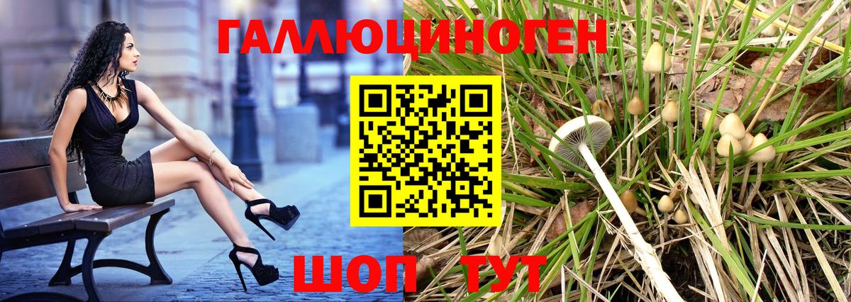 Галлюциногенные грибы Psilocybine cubensis  где найти наркотики  Видное  Вход с VPN 